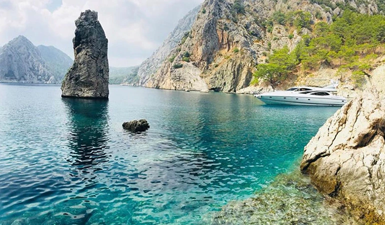 Aquarium Bay (Akvaryum Koyu)